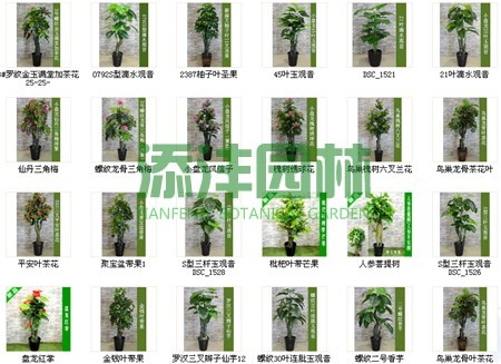 添灃園林仿真植物樹(shù)